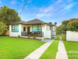 55 Wattle St Punchbowl NSW 2196