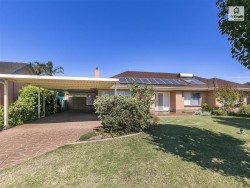 6 Allendale Ave, Novar Gardens SA 5040