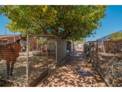 3 Kalgoorlie Street, Ascot, WA 6104