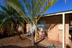 27D Koombana Avenue, South Hedland, WA 6722