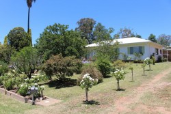 144 Maitland Street, Bingara, NSW 2404