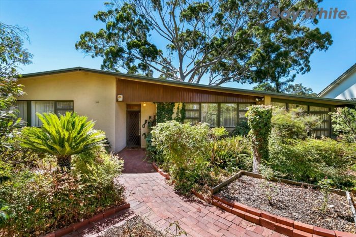 27 Bowden Grove, Oaklands Park, SA 5046