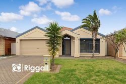 19 Bluegum Drive, Paralowie, SA 5108