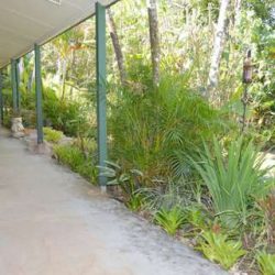 7 Hutchison Close, Mission Beach, QLD 4852