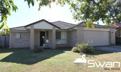 4 Rachel Dr, Crestmead QLD 4132, Australia