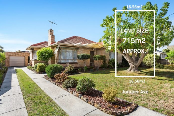 11 Juniper Ave, Glen Waverley VIC 3150, Australia