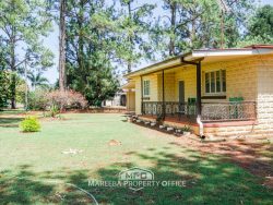 237 Bruce Weir Rd, Dimbulah QLD 4872, Australia