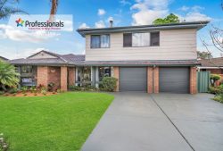 15 Newmoon Pl, St Clair NSW 2759, Australia