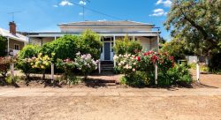 2 Falcon St, Narrogin WA 6312, Australia