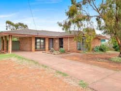 11 Teahan St, South Kalgoorlie WA 6430, Australia