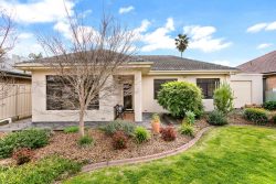 42 Quandong St, North Brighton SA 5048, Australia