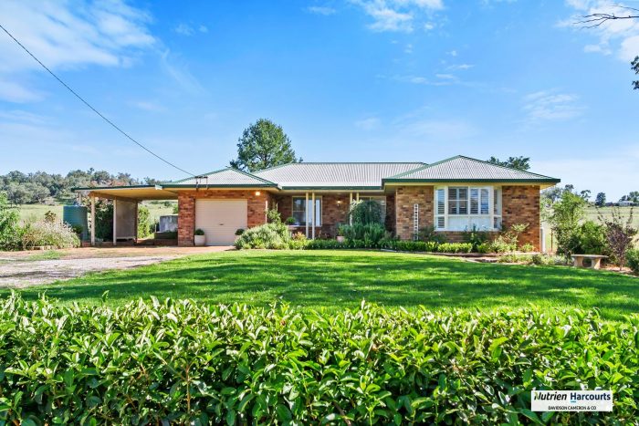 90 Porcupine Ln, Tintinhull NSW 2352, Australia