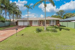 43 Edenlea Dr, Meadowbrook QLD 4131, Australia