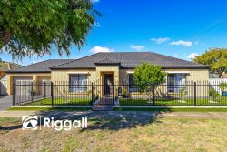 43 Palm Ave, Royal Park SA 5014, Australia