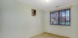 3 Hardey Pl, Stirling ACT 2611, Australia