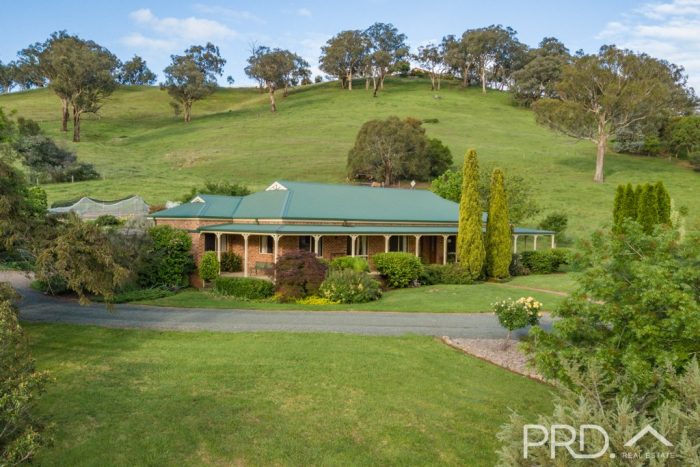 447 Lacmalac Rd, Lacmalac NSW 2720, Australia