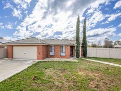 2 Walnut Ct, Shepparton VIC 3630, Australia