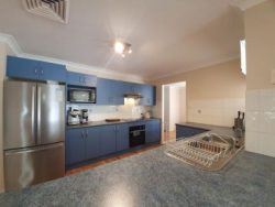 16 Edinglassie Dr, Muswellbrook NSW 2333, Australia