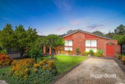 10 French St, Mount Waverley VIC 3149, Australia