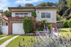 20 Wimbledon Grove, Garden Suburb NSW 2289, Australia