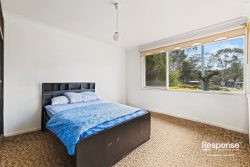 17 Chanel St, Toongabbie NSW 2146, Australia