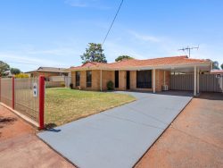 14 Burkett Dr, Hannans WA 6430, Australia