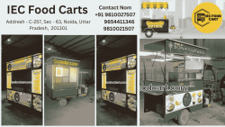 IEC Food Cart Manufacturer Your Trusted Partner in Mobile Kitchens