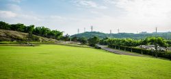 Ace Acreville Sector 22A Investment Plots Available