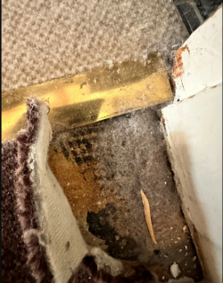 48h Sanierung Düren – Asbestkleber & Bodenbelag-0221-96986861