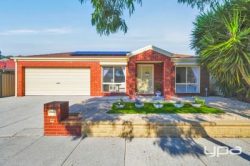 19 Mackellar Dr, Roxburgh Park VIC 3064, Australia