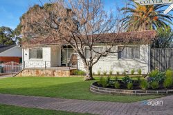 12 Colyer St, Pasadena SA 5042, Australia