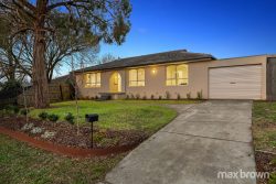 20 Blueberry Rd, Mooroolbark VIC 3138, Australia