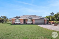 26 Daintree Cct, Moore Creek NSW 2340, Australia