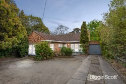 217 Canterbury Rd, Blackburn VIC 3130, Australia