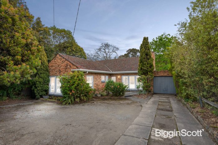217 Canterbury Rd, Blackburn VIC 3130, Australia