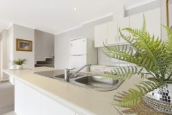 7 Scobie St, Fletcher NSW 2287, Australia