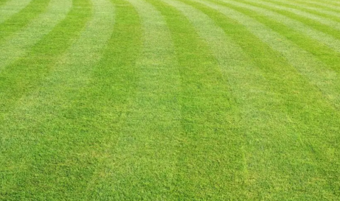 Lawn mowing st ives