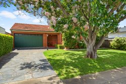 3 Wongala Ave, Glenelg North SA 5045, Australia