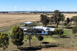 18345 Gwydir Hwy Pallamallawa NSW 2399 Australia