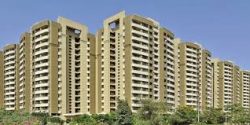 Is Saya Raj Nagar Extension Apartments Right for Your Family