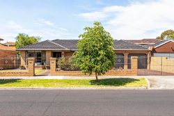 58 Orleans Rd, Avondale Heights VIC 3034, Australia