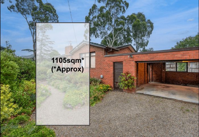 7 Wallabah St, Mount Waverley VIC 3149, Australia