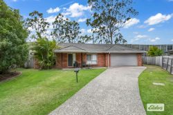 66 Constellation Dr, Loganholme QLD 4129, Australia