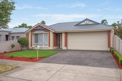 7 Hillary Ave, Morphettville SA 5043, Australia