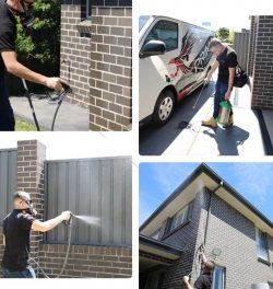 Pest Control Fairfield