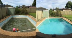 Pool Maintenance Franchise