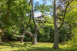 150 Mount Brandon Rd, Jerrara NSW 2533, Australia