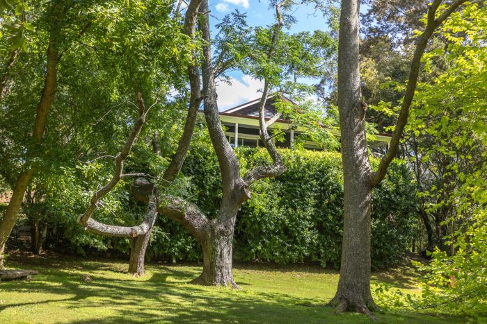 150 Mount Brandon Rd, Jerrara NSW 2533, Australia