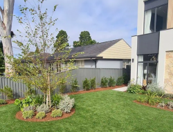 Lawn Mowing Rose Bay