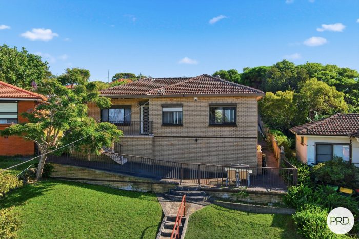 20 Karrabah Cres, Lake Heights NSW 2502, Australia